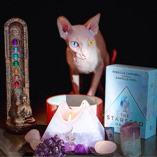 Custom Candle Creation