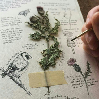 5 Mystical Plants for your Garden