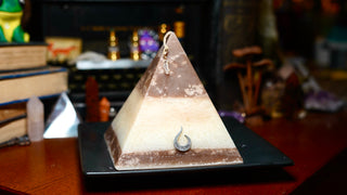 Cocoa Wonderland