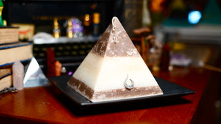 Cocoa Wonderland