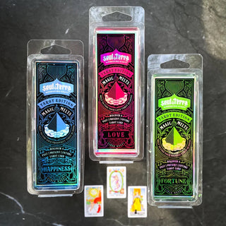 MYSTERY WAX MELT GIFT