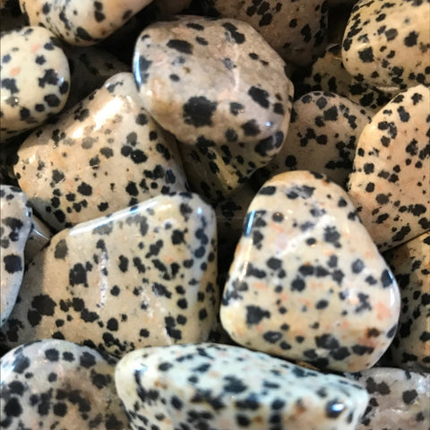 Dalmatian Jasper