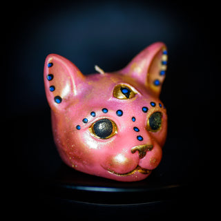 Punky Pussycat