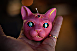 Punky Pussycat